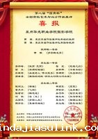 第二届“国青杯”/